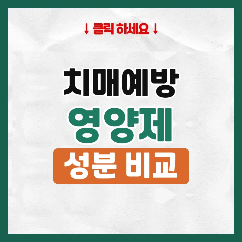 치매예방영양제