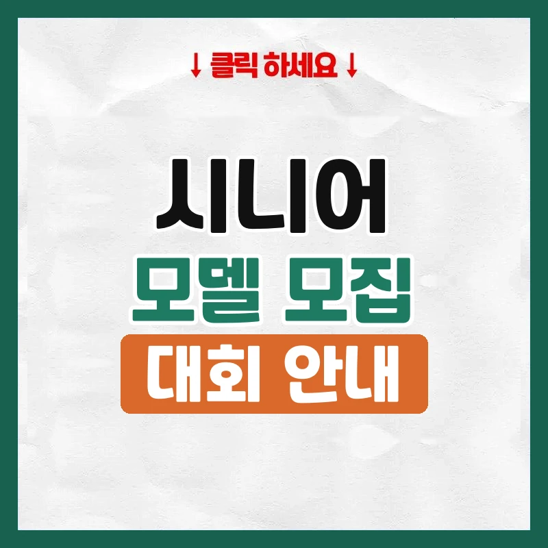 시니어